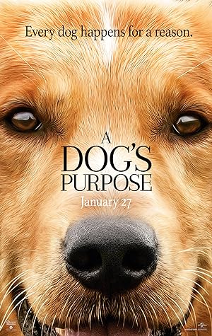 A Dog's Purpose (2017) Full Movie HDCAM 850MB