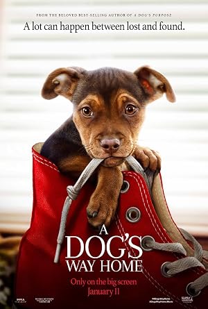A Dogs Way Home (2019) Hindi Dual Audio 480p Web-DL 300MB