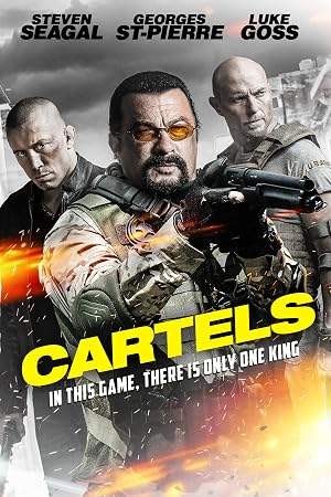 Cartels 2017 Hindi Dual Audio 720p BluRay [900MB]