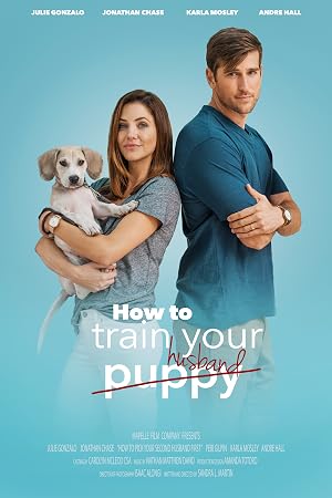 How to Train Your Husband 2018 Hindi Dual Audio 720p BluRay [1GB]
