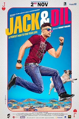 Jack And Dil (2018) Hindi Movie 480p HDTVRip - [280MB]