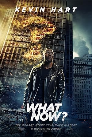 Kevin Hart: What Now? (2016) Full Movie Download [DVDRip] 500MB