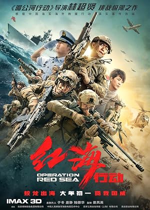 Operation Red Sea (2018) Hindi Dual Audio 480p BluRay 450MB