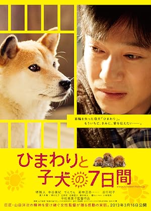 Pup (2013) Hindi Dual Audio 480p BluRay 280MB