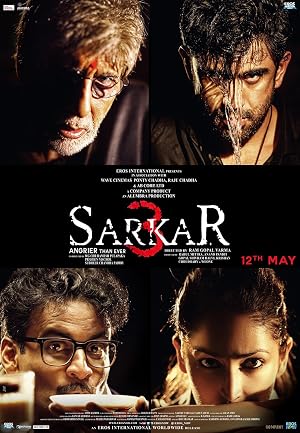 Sarkar 3 2017 Full Movie DVDRip 720p [700MB] Download