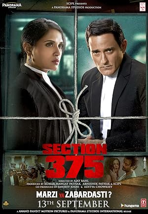 Section 375 (2019) Hindi Movie 720p HDRip x264 [980MB]