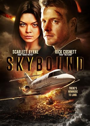 Skybound (2017) Hindi Dual Audio 720p BluRay [1.2GB]