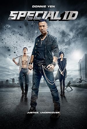 Special ID (2013) Hindi Dual Audio 480p BluRay 300MB ESubs