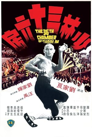the 36th Chamber of Shaolin 1978 Hindi Dual Audio 480p BluRay 360MB