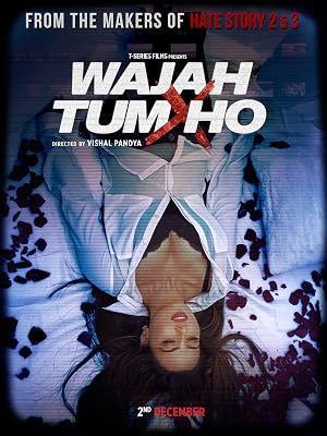Wajah Tum Ho 2016 [PDVDRip] 700MB DDR