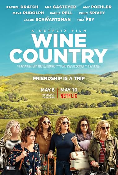 Wine Country (2019) Hindi Dual Audio 720p Web-DL [1GB]